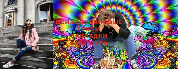 соль ск Володарск