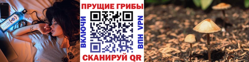 Купить где  Обоянь  Галлюциногенные грибы прущие грибы 